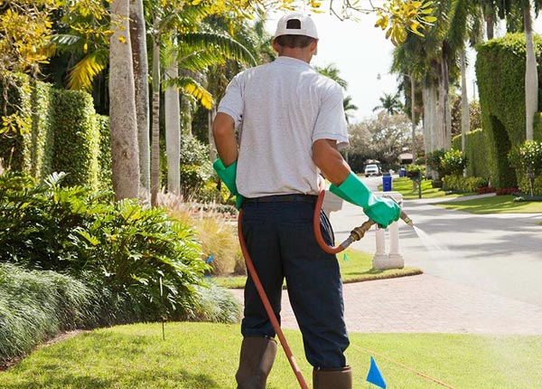 About Glen Mills PA Pest Control Pros